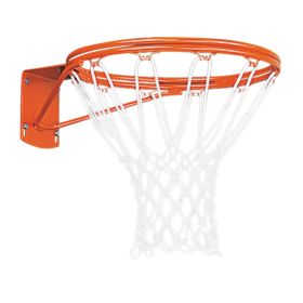 DOUBLE RIM PLAYGROUND GOAL