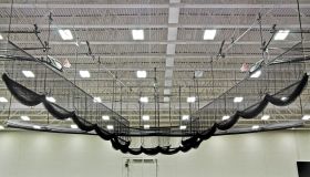 CUSTOM CEILING SUSPENDED THROWING CAGE